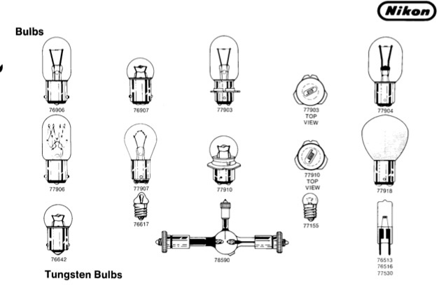 Nikon bulbs.jpg